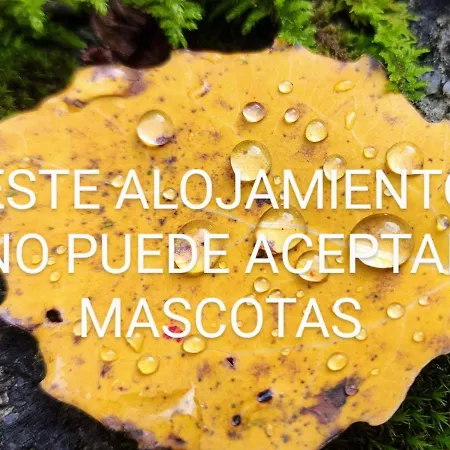 Pleta Del Mon 公寓 贝纳斯克