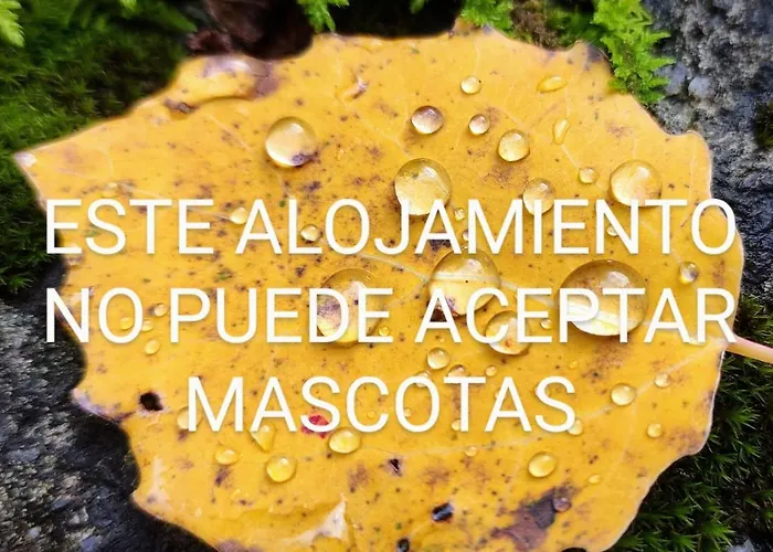 Pleta Del Mon Appartement Benasque